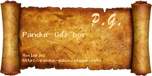 Pandur Gábor névjegykártya
